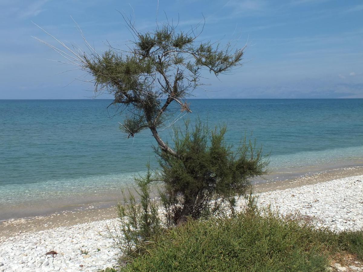 Apartment Frosos Beachfront Maisonette Acharavi *